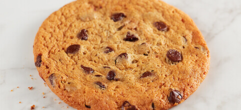 A single chocolate chip cookie.